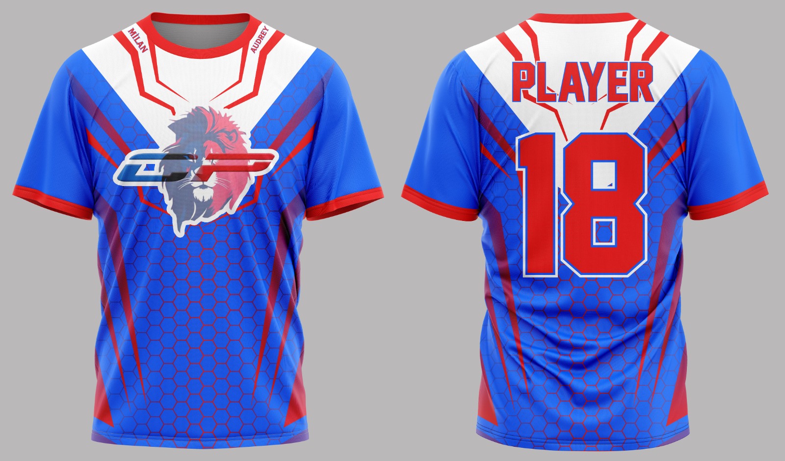 Sublimation t-shirt sample 11